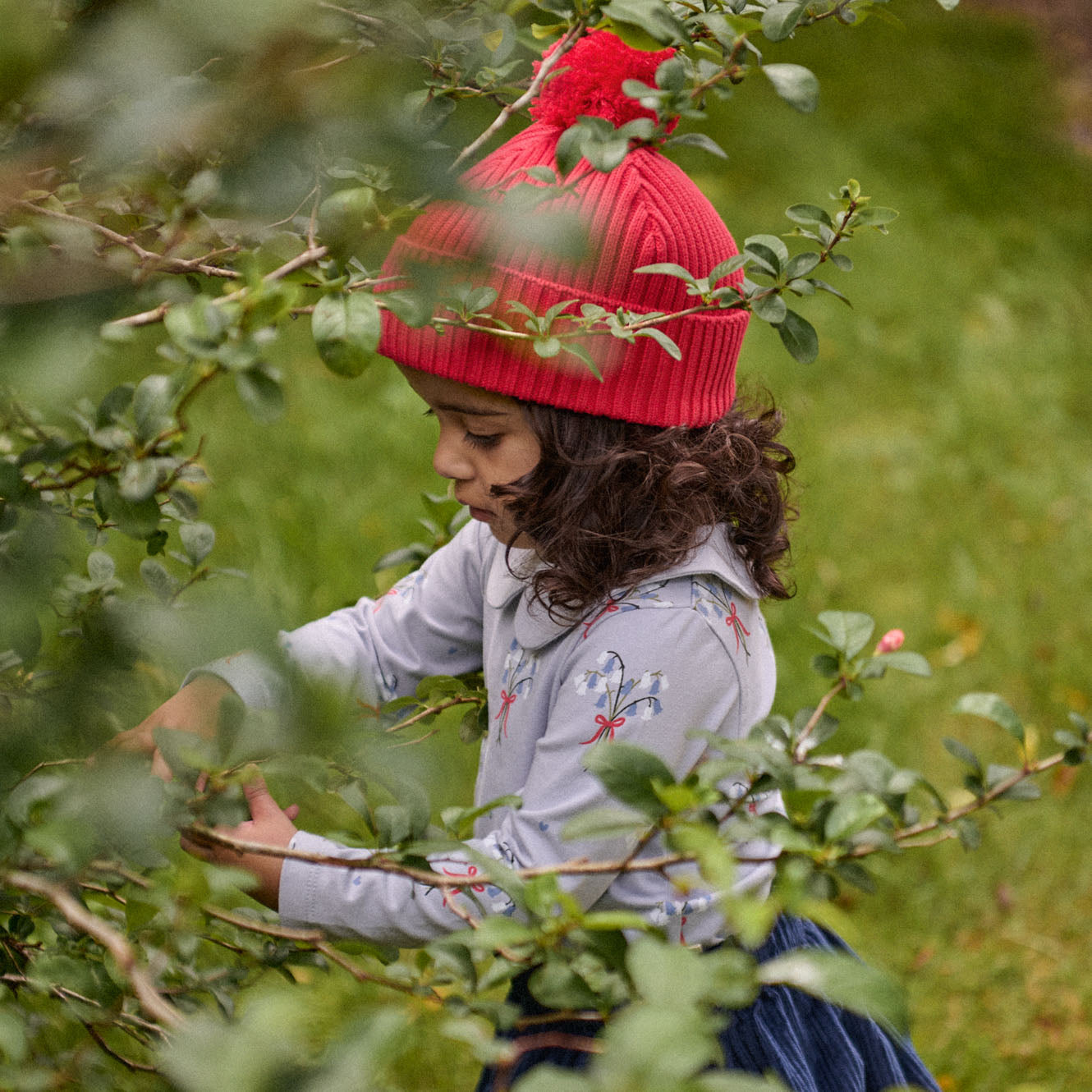 FOREST BEANIE | Red-Web-hover