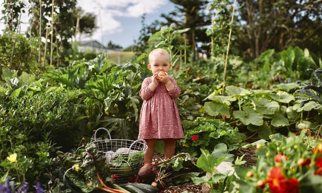 Future Foody: Organic Baby Food | Wellbeing - Nature Baby