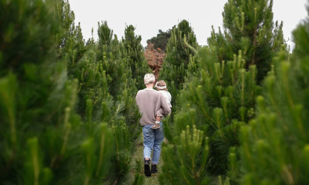 A Christmas Tale From New Zealand: Gem Adams | Parenthood - Nature Baby