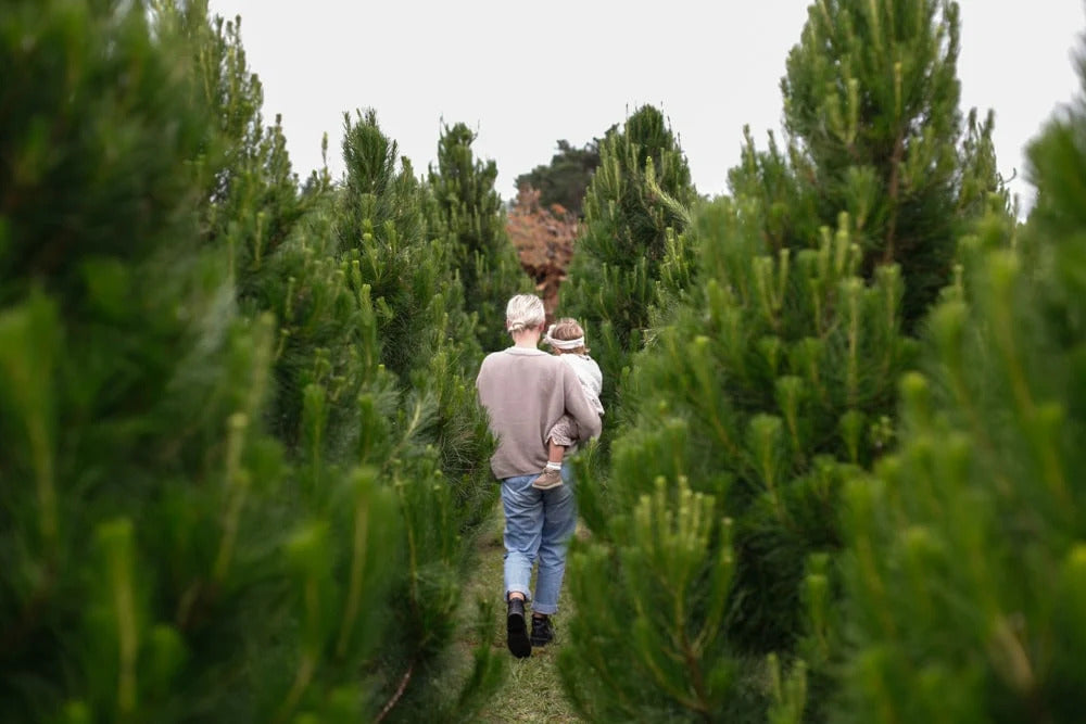 A Christmas Tale From New Zealand: Gem Adams | Parenthood - Nature Baby