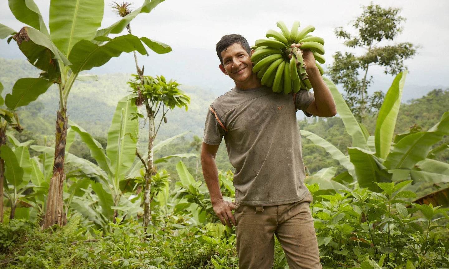 Being The Top Banana: Organically Grown Bananas And Why They Matter | Wellbeing - Nature Baby