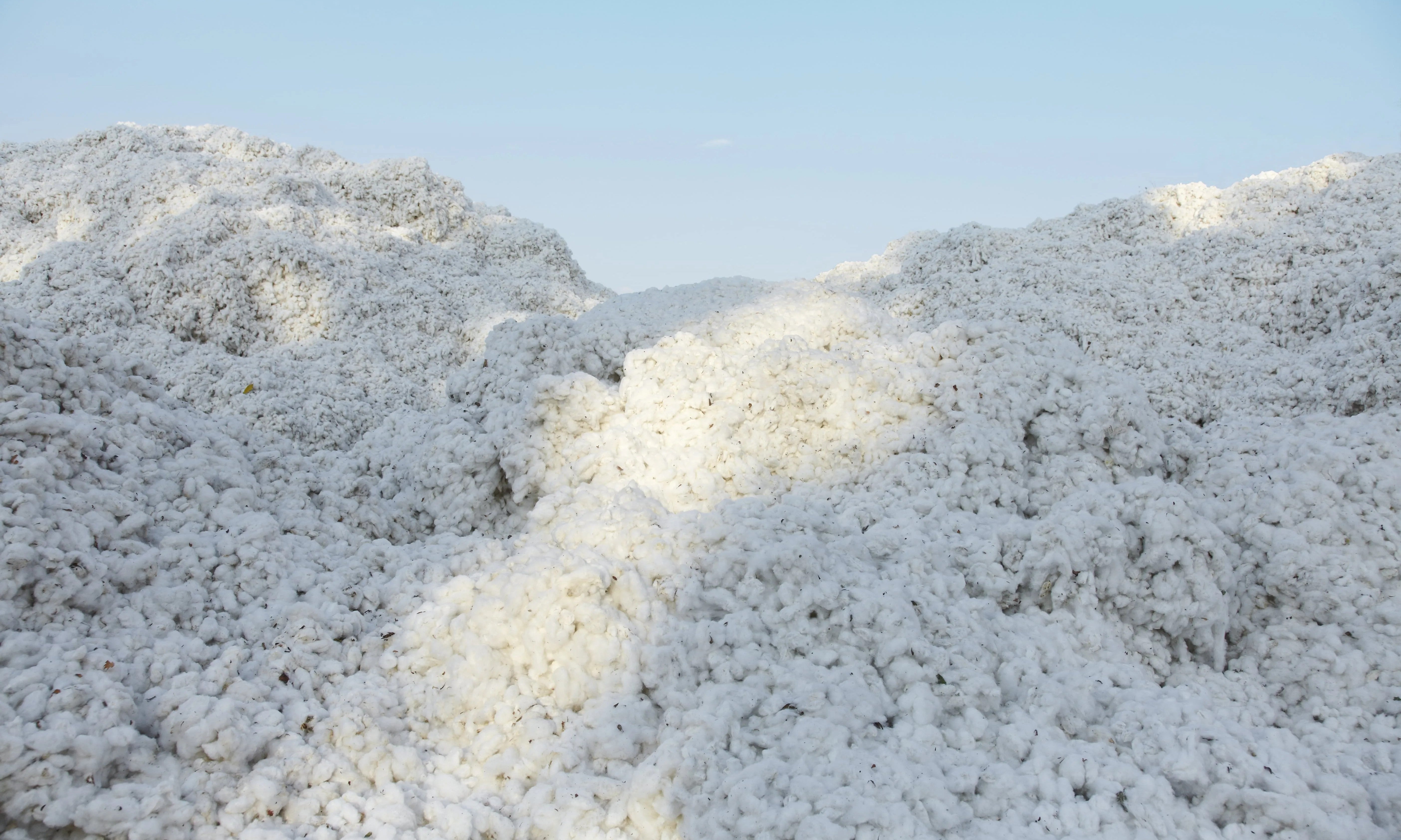 Best For Baby: GOTS Certification | Who We Are