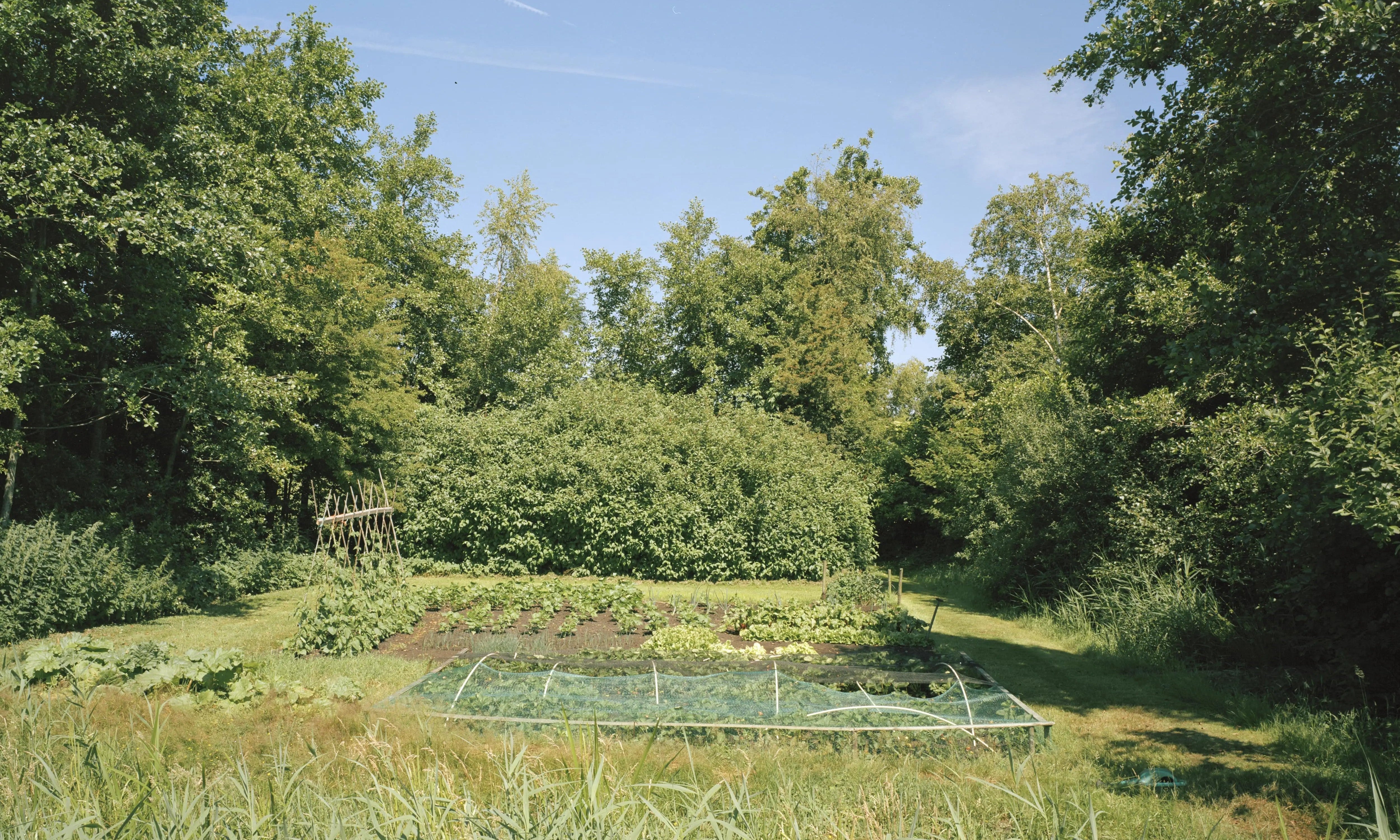 Garden Scavenger Hunt | Living - Nature Baby