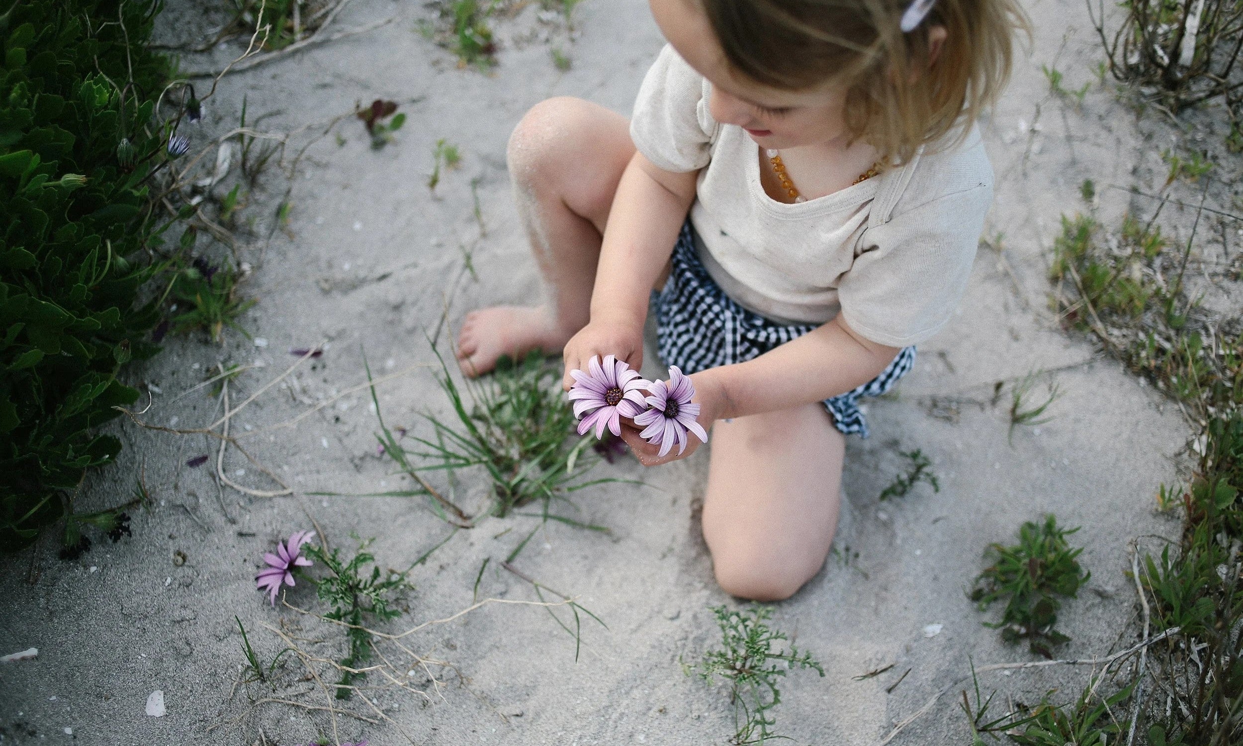 Jodi Wilson: sustainable fashion | Who We Are