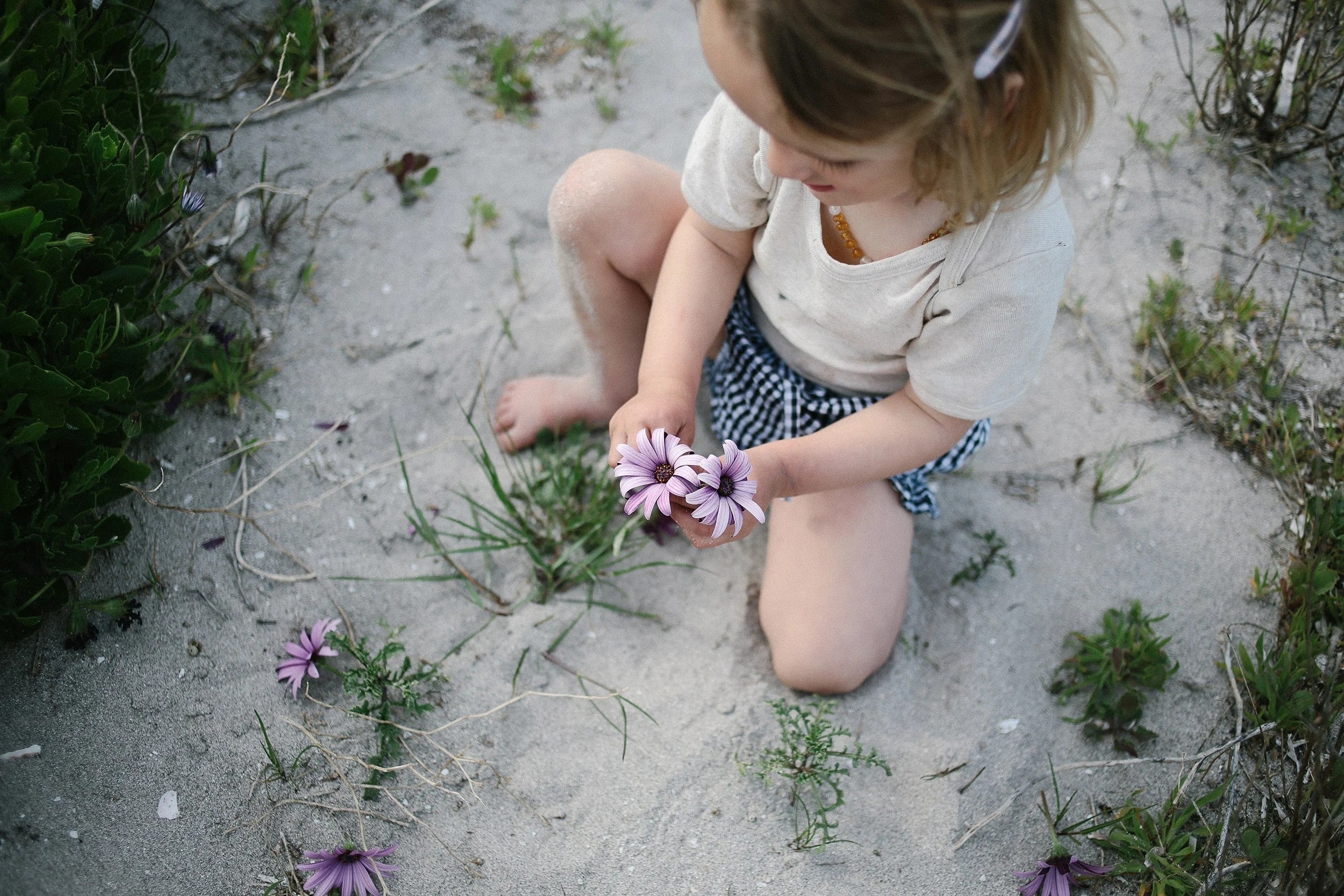 Jodi Wilson: sustainable fashion | Who We Are