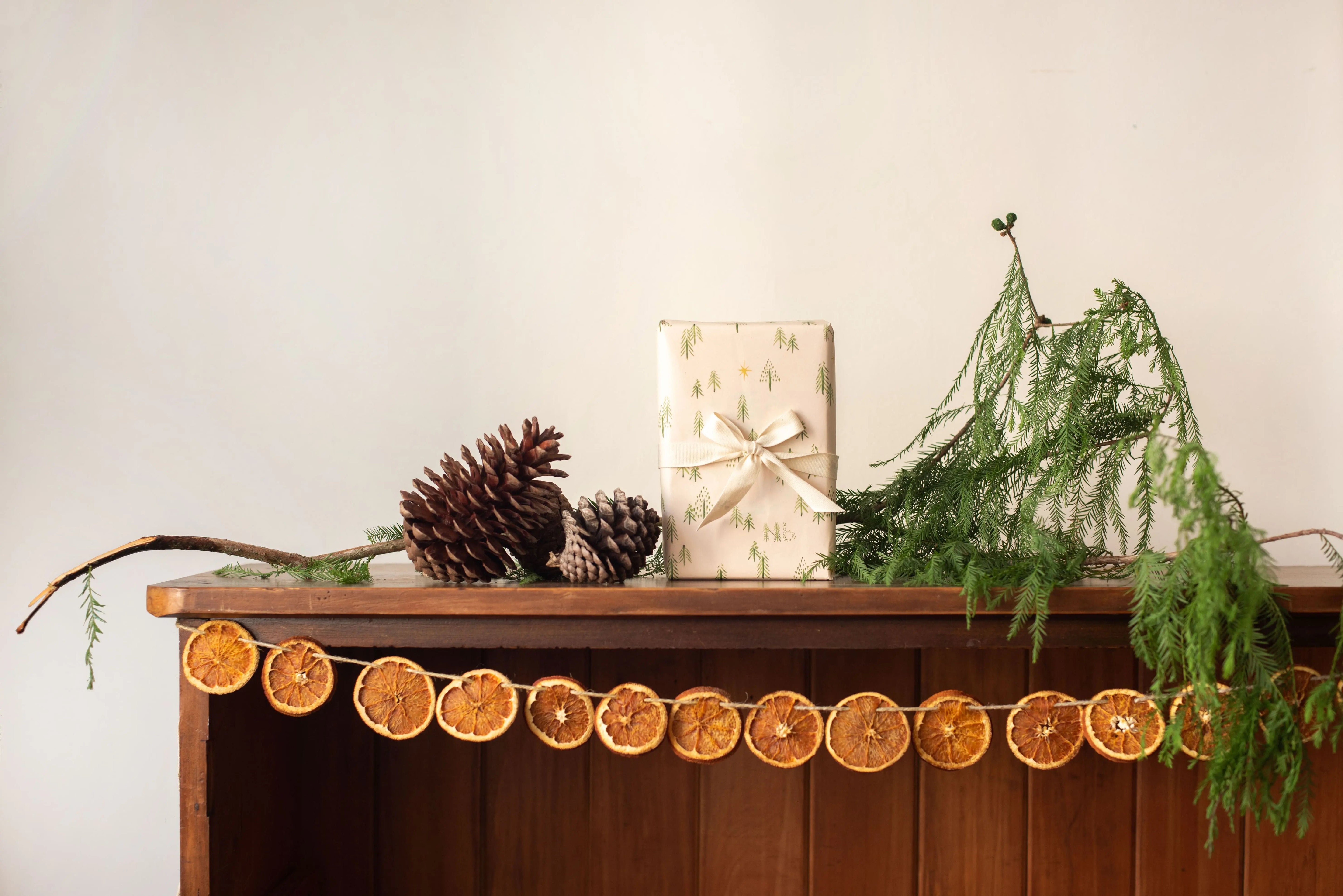 Make Your Own Dried Orange Garland | Living - Nature Baby