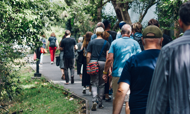 Sustainable Business: A Walk In Grey Lynn | Living - Nature Baby