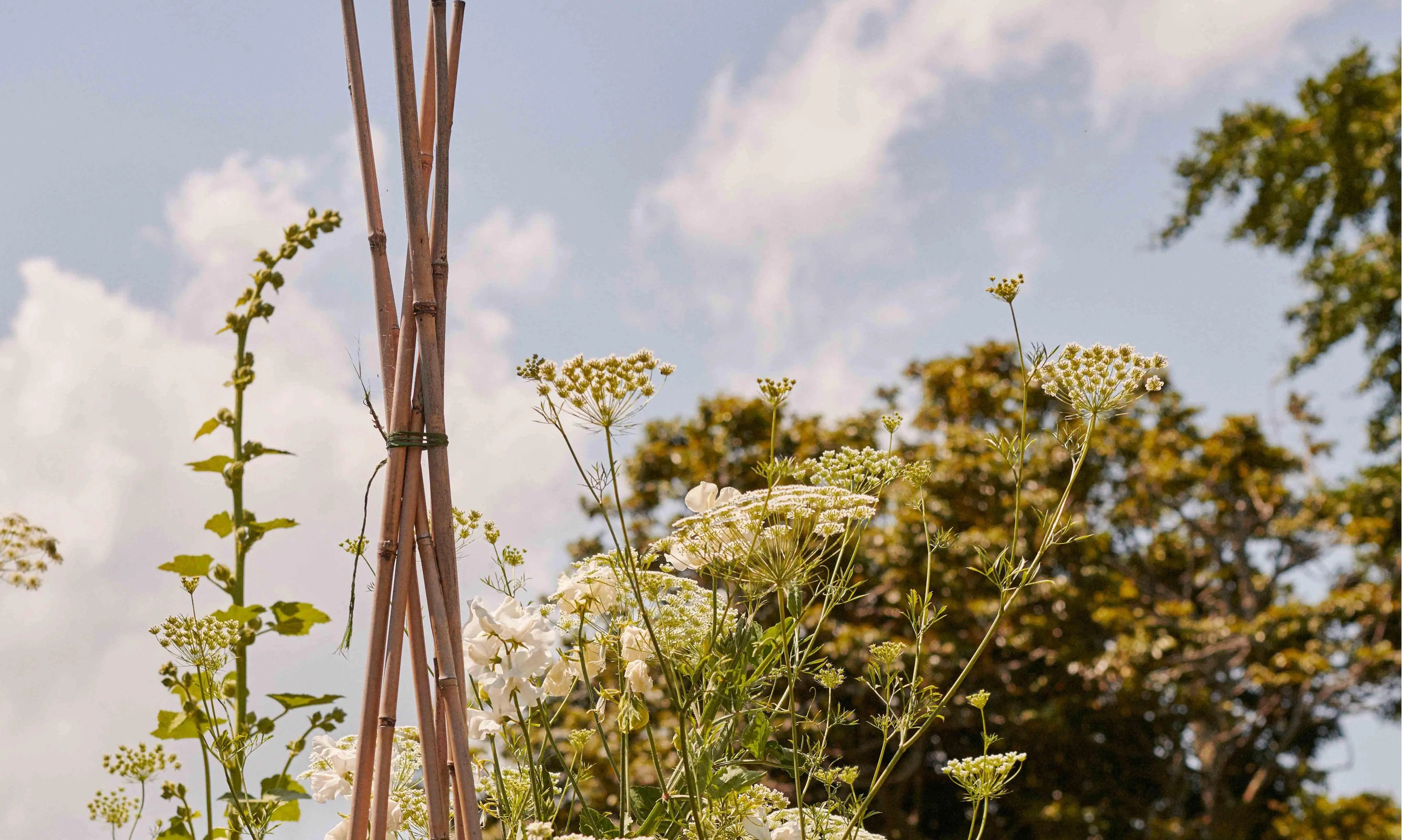 Q&A with Natural Ange | Living