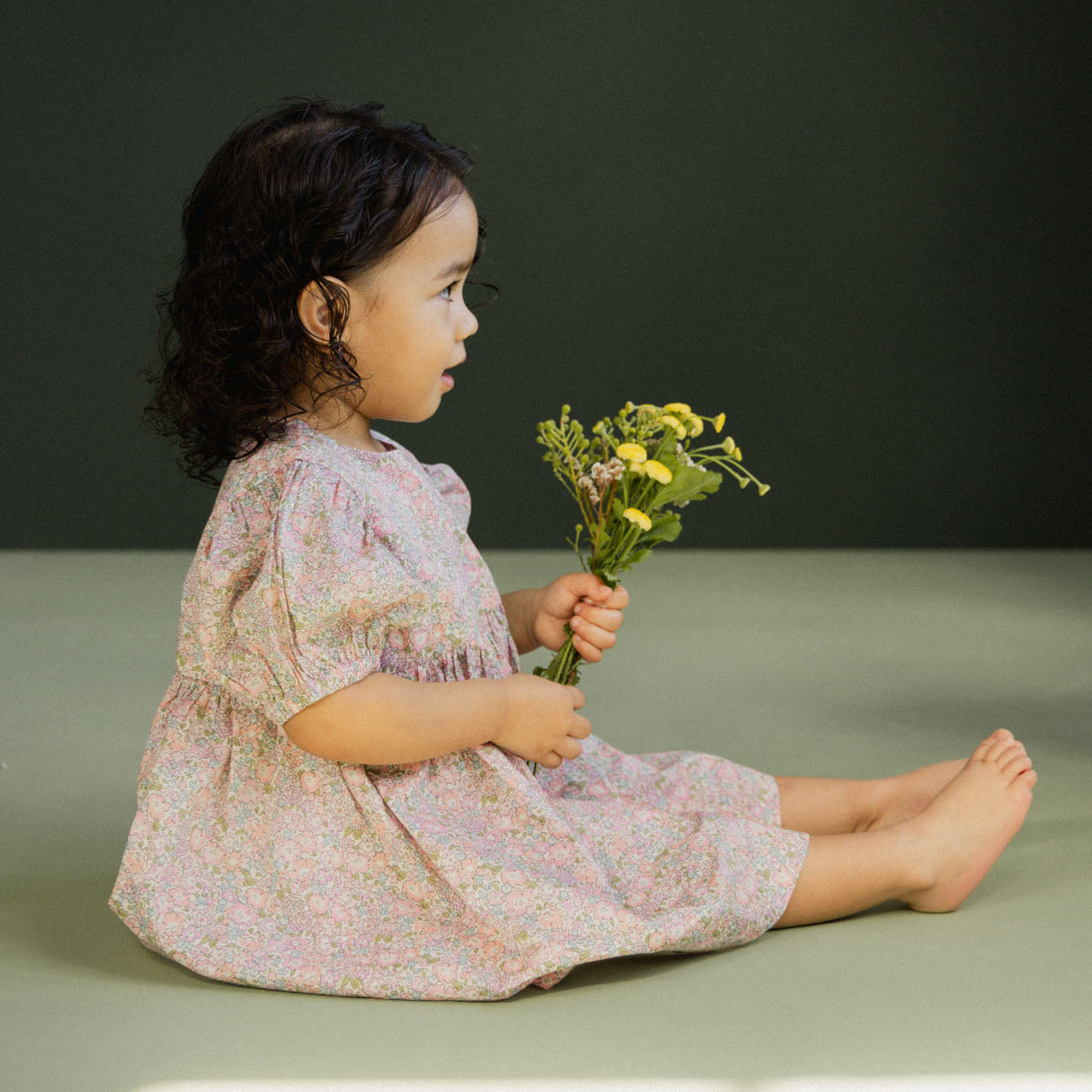 ALBERTINE DRESS LIBERTY | Spring Blossom-Web-hover