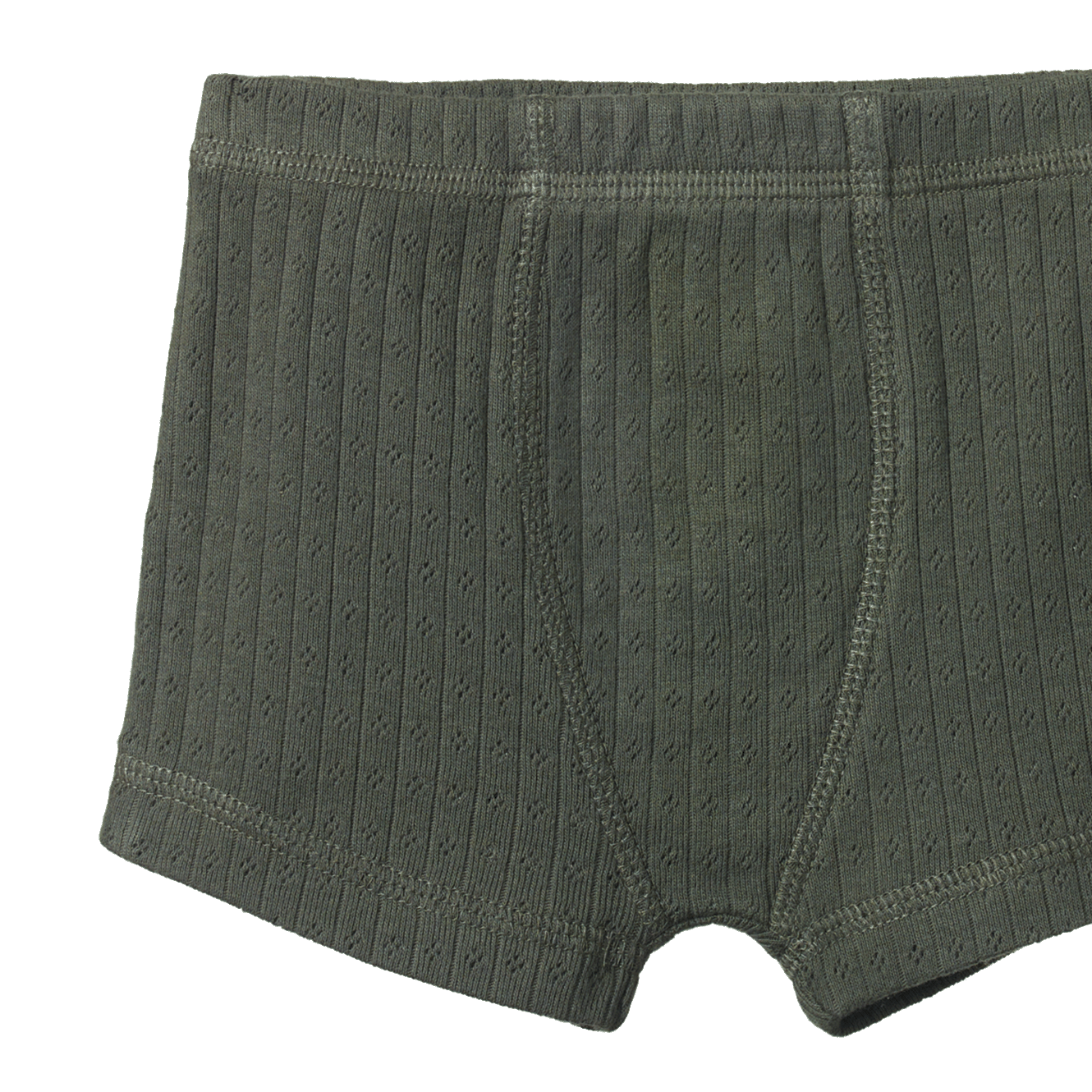 BOXER SHORTS POINTELLE | Thyme-Web-hover
