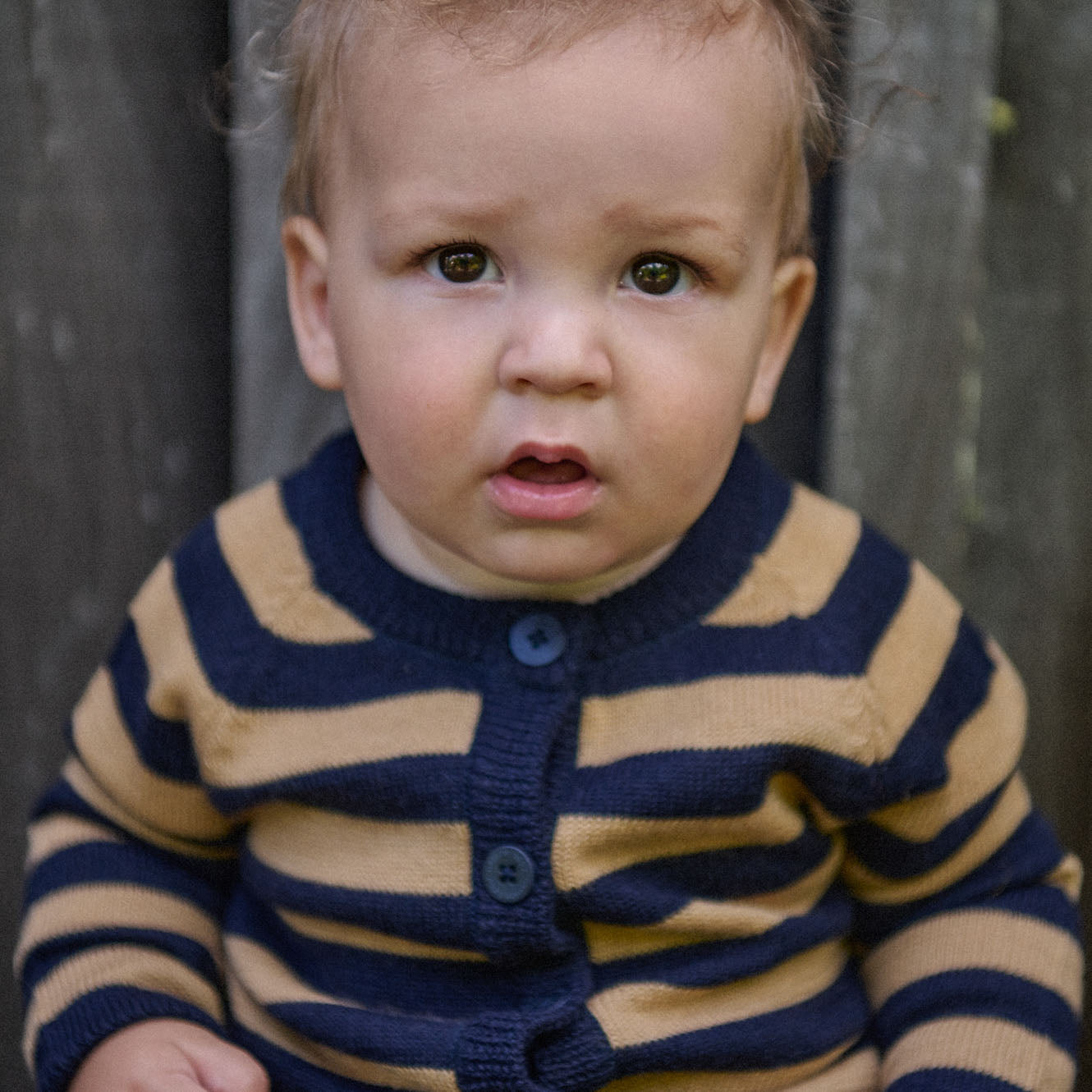 MERINO KNIT CARDIGAN | Navy/Caramel Stripe-Extra Img - 1