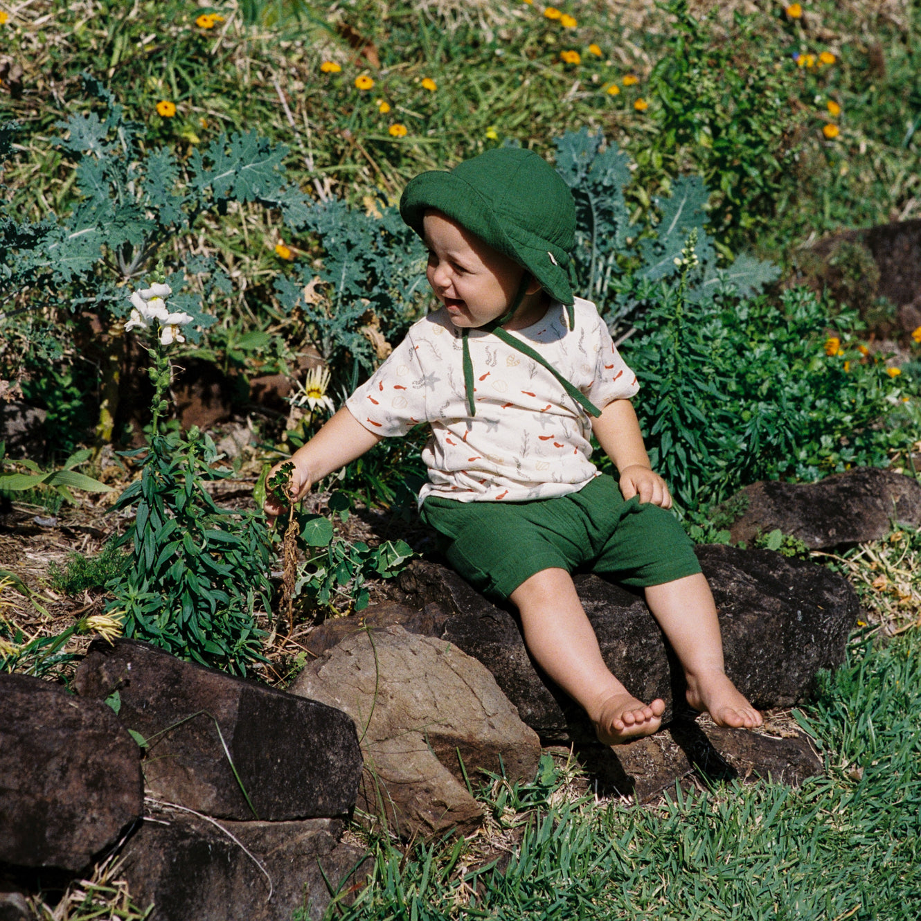 JAMES SHORTS MUSLIN | Fir Green-Web-hover