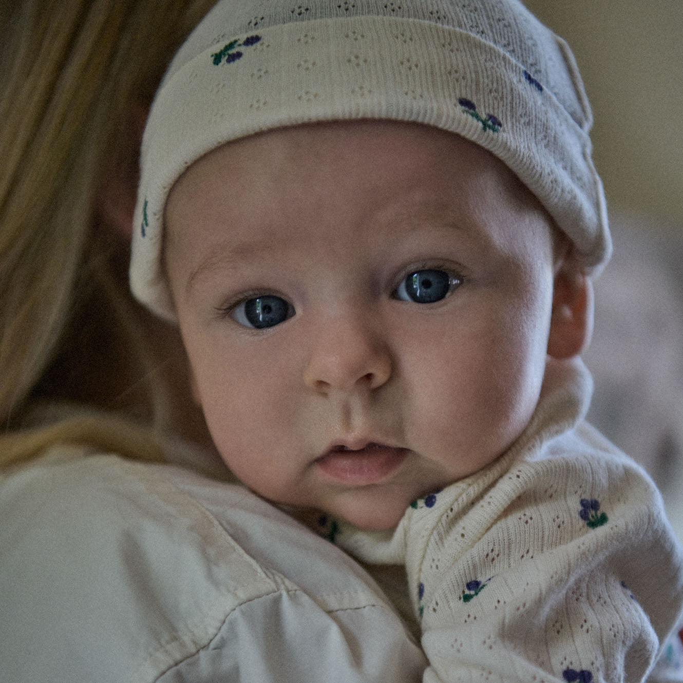 KNOTTED BEANIE POINTELLE | Winter Berry Print-Extra Img - 1