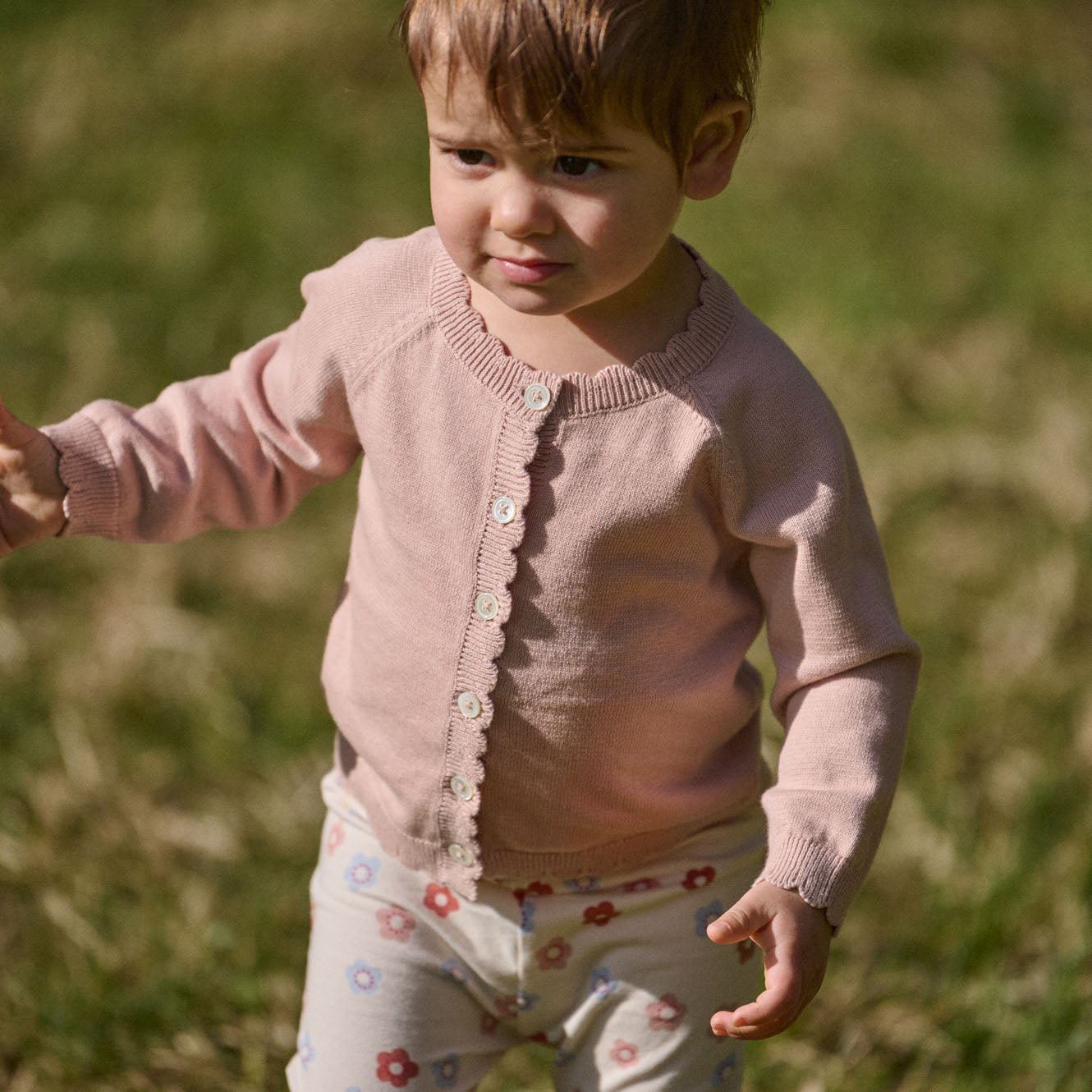 LILIETTE CARDIGAN | Rose Dust-Web-hover