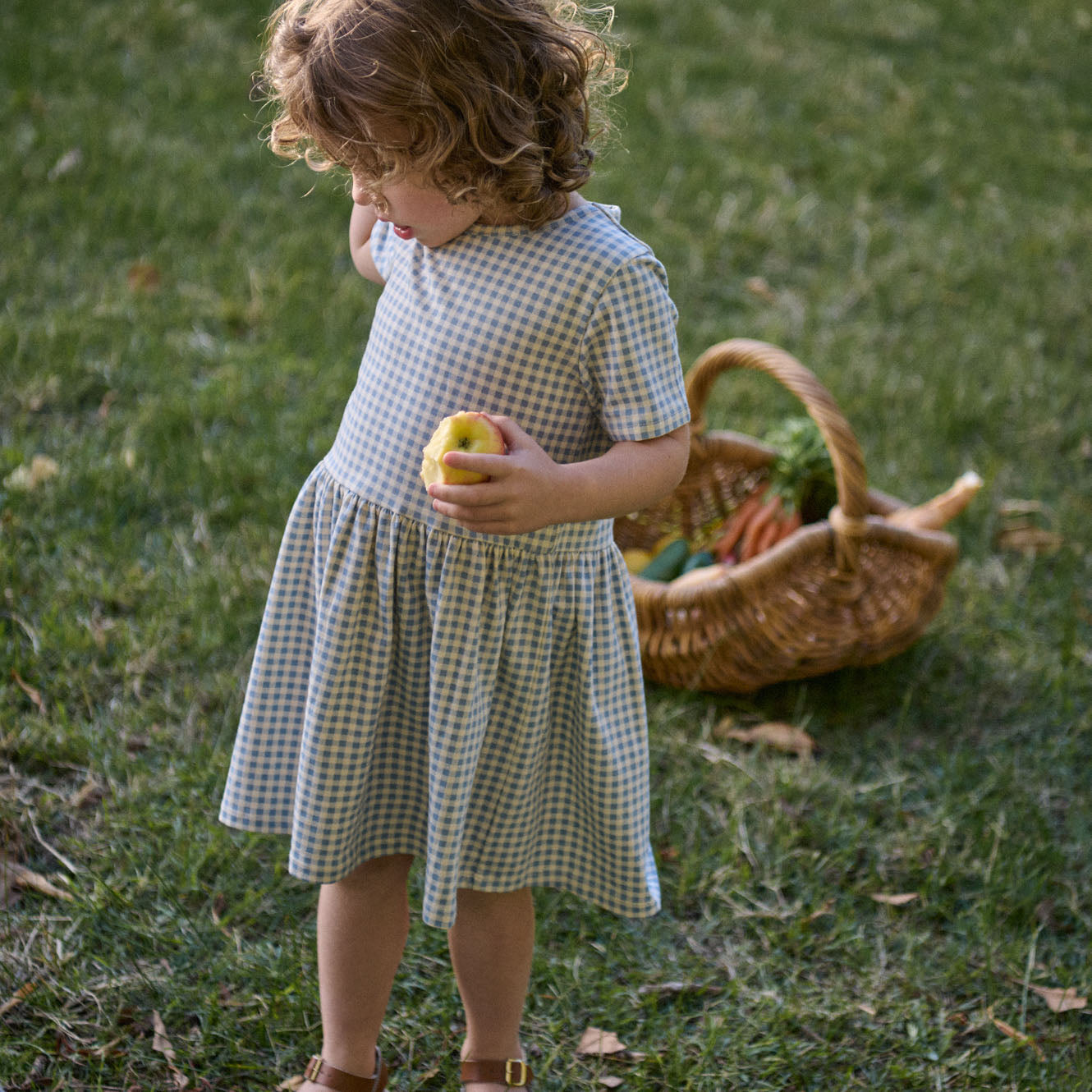 SATURDAY DRESS | Blue Gingham-Web-hover