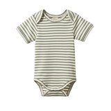 SHORT SLEEVE BODYSUIT | Nettle Sailor Stripe-Web-front