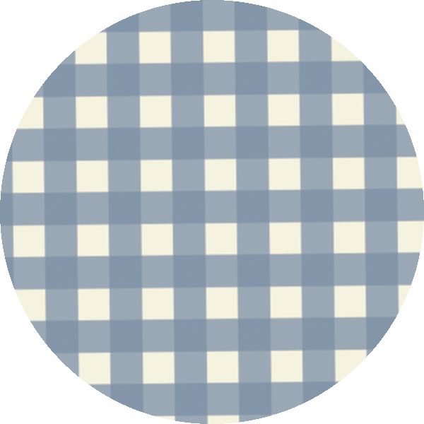 STRETCH JERSEY S/S BODYSUIT | Blue Gingham-Web-swatch