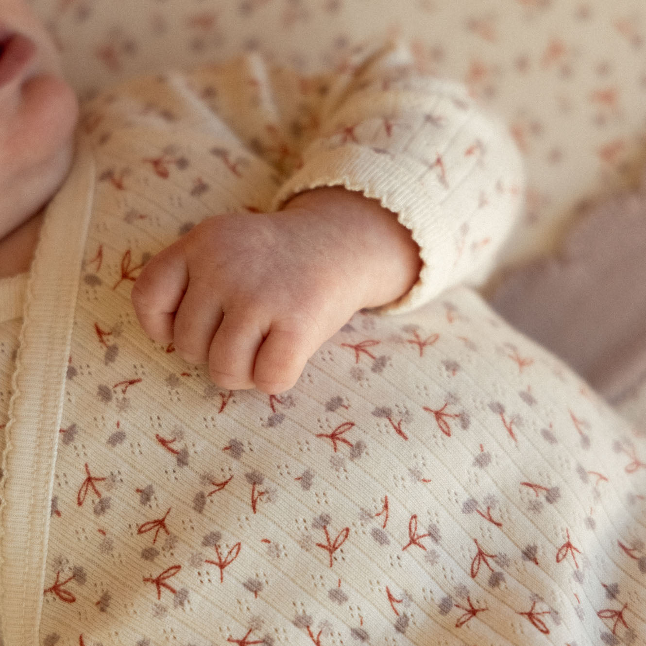 L/S KIMONO BODYSUIT POINTELLE | Dandelion Print-Web-hover